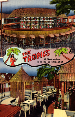 The Tropics Postcard